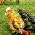 High Quality Hexagonal Chicken Wire Mesh